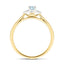 Aquamarine 0.25ct Diamond 0.03ct Cluster Ring 9k Yellow Gold - All Diamond