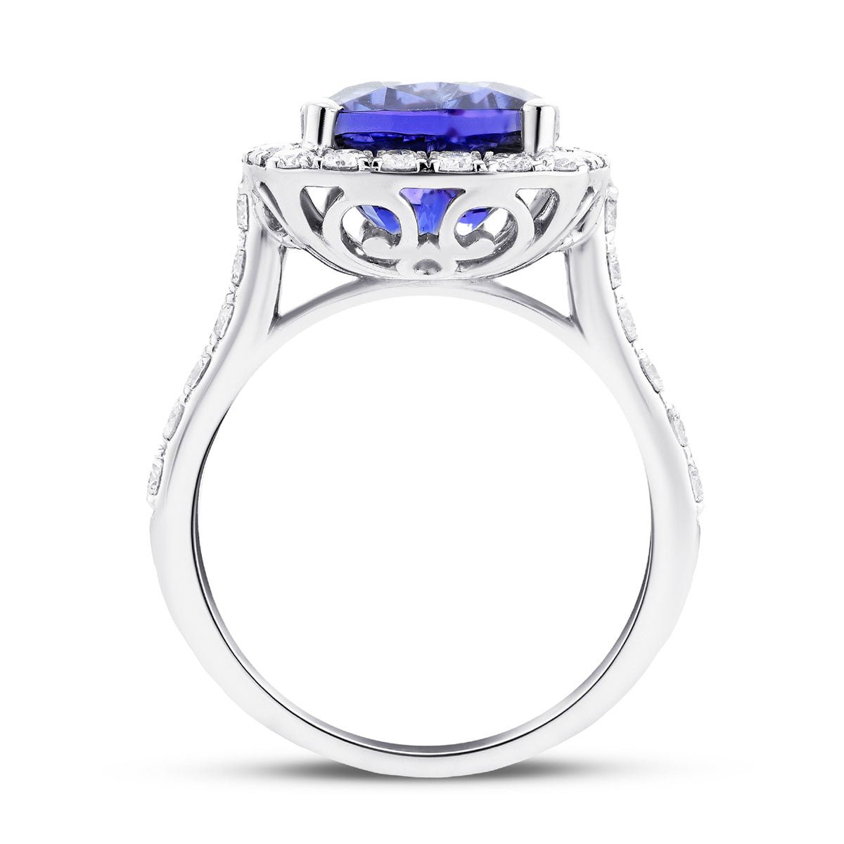 Halo Cushion Tanzanite 5.37ct and Diamond 1.00ct Ring in 18K White Gold - All Diamond